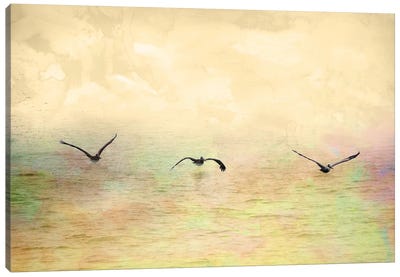 Seagulls In The Sky I Canvas Art Print