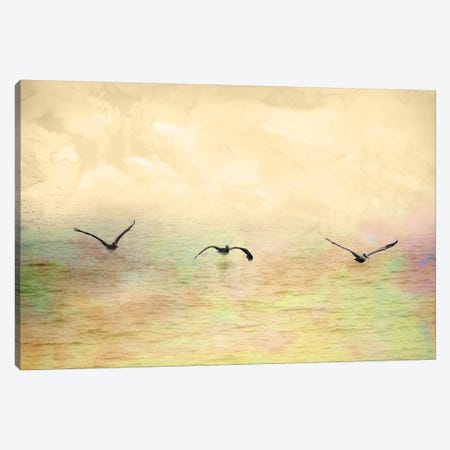 Seagulls In The Sky I Canvas Print #YBM60} by Ynon Mabat Canvas Art