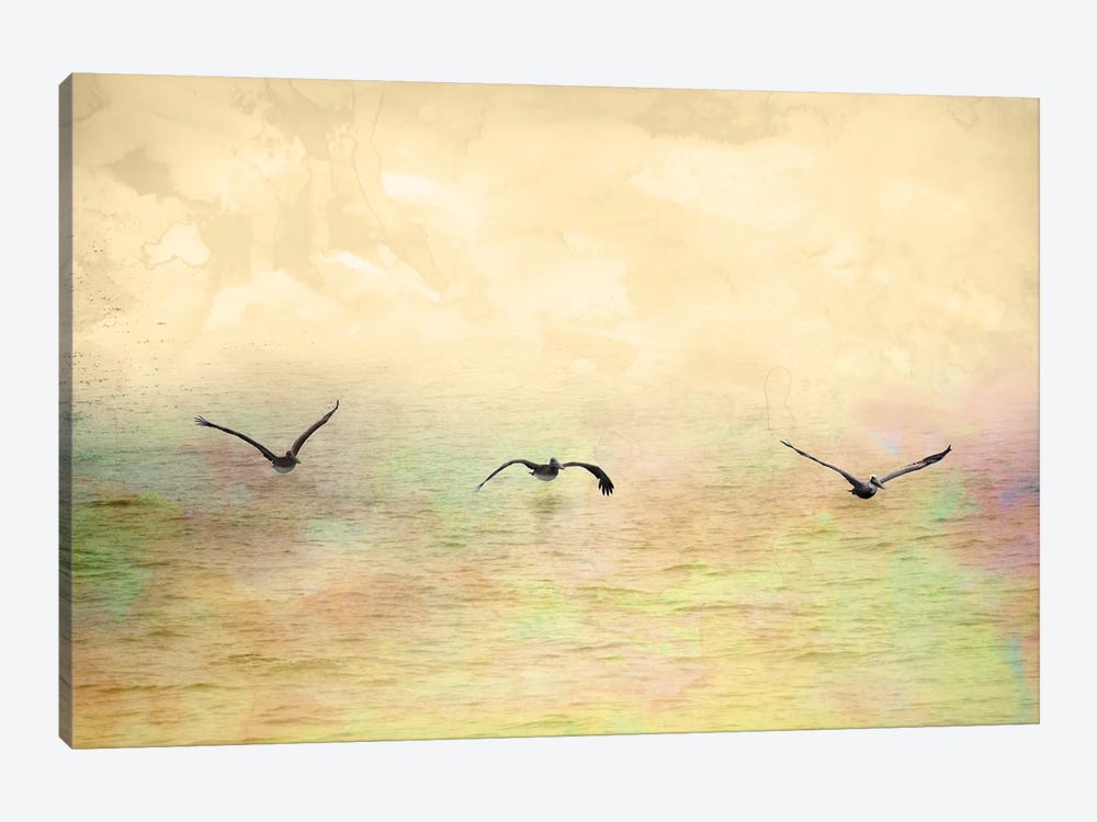 Seagulls In The Sky I by Ynon Mabat 1-piece Art Print