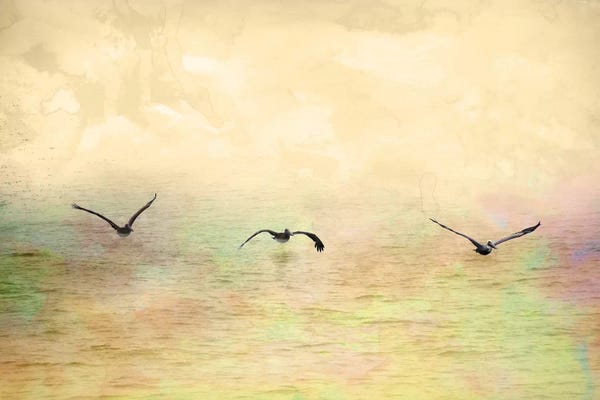 Abstract Landscapes: Seagulls In The Sky I by Ynon Mabat