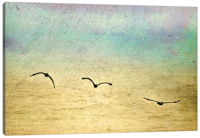 Seagulls In The Sky II Canvas Art Print