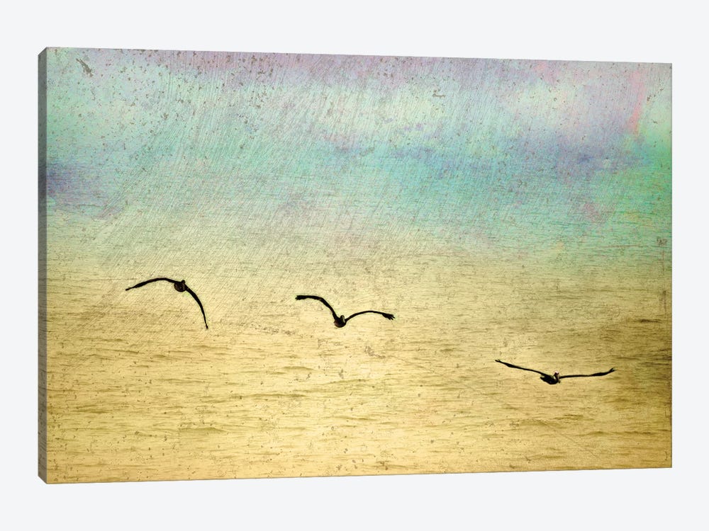 Seagulls In The Sky II by Ynon Mabat 1-piece Canvas Art