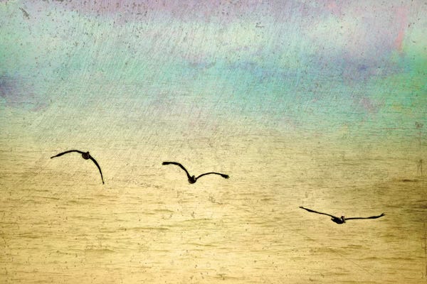 Ynon Mabat: Seagulls In The Sky II by Ynon Mabat