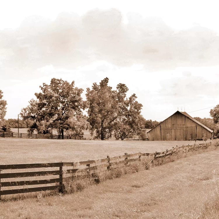 Simple Farm Life