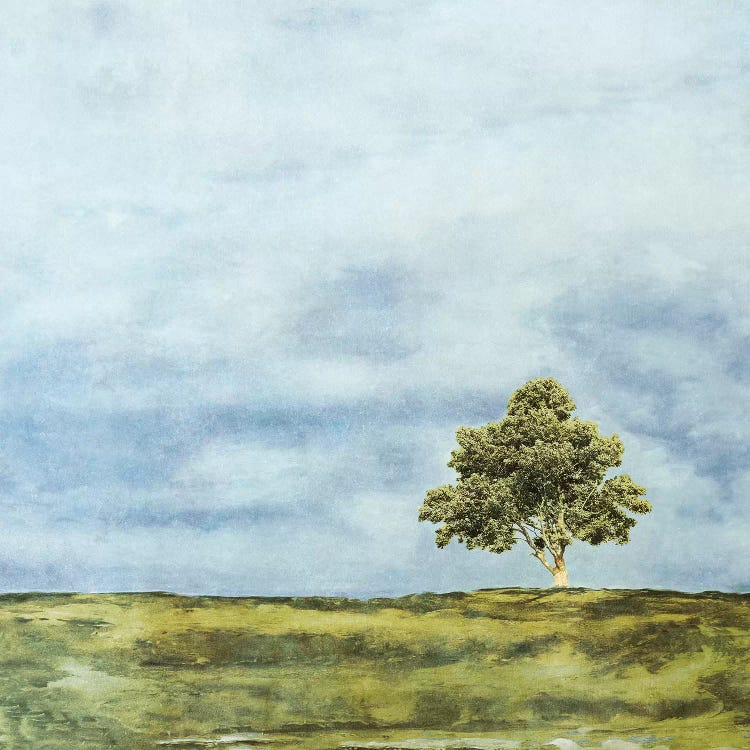 Summer Oak