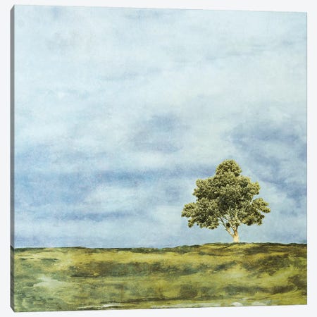 Summer Oak Canvas Print #YBM66} by Ynon Mabat Canvas Print