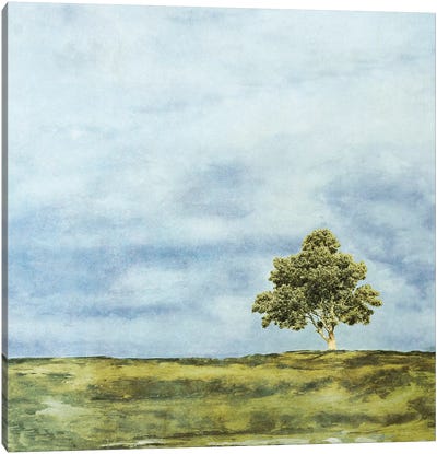 Summer Oak Canvas Art Print - Oak Tree Art
