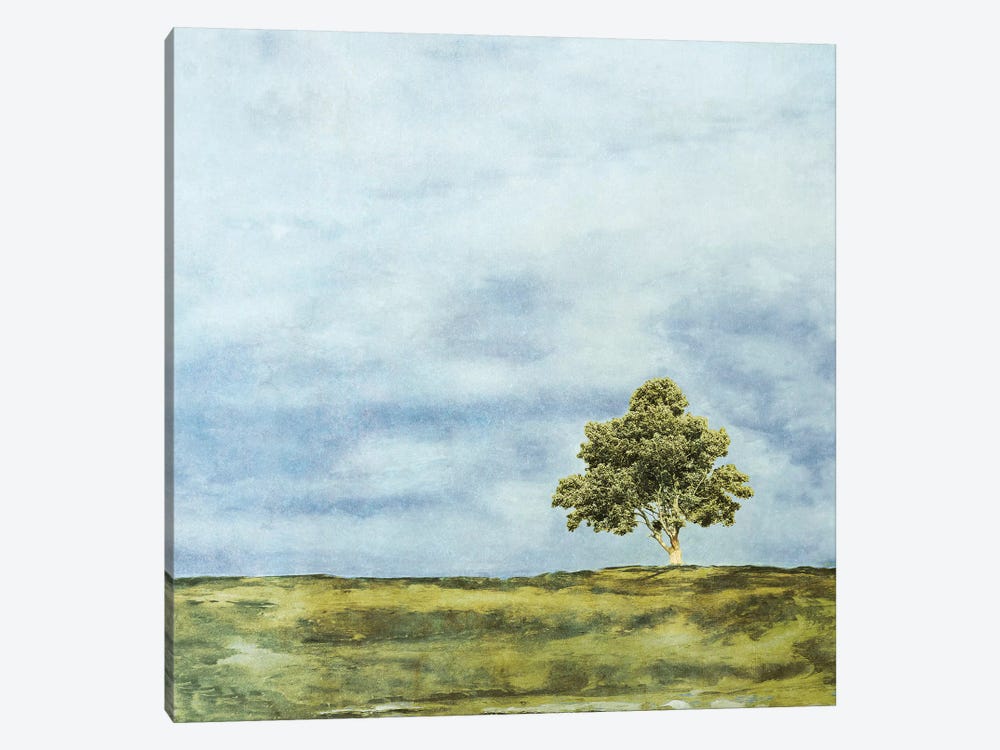 Summer Oak by Ynon Mabat 1-piece Art Print