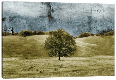 Tree In The Valley Canvas Art Print