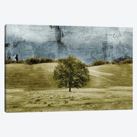 Tree In The Valley Canvas Print #YBM70} by Ynon Mabat Canvas Art Print