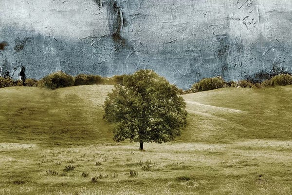 Abstract Landscapes: Tree In The Valley by Ynon Mabat