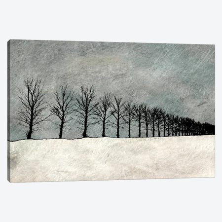 Winter Row Canvas Print #YBM78} by Ynon Mabat Canvas Print