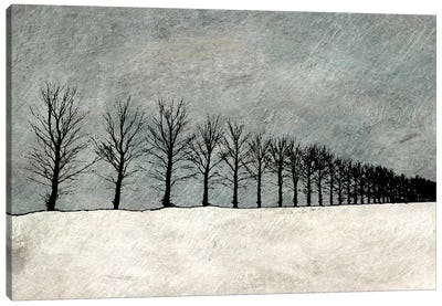 Winter Row Canvas Art Print