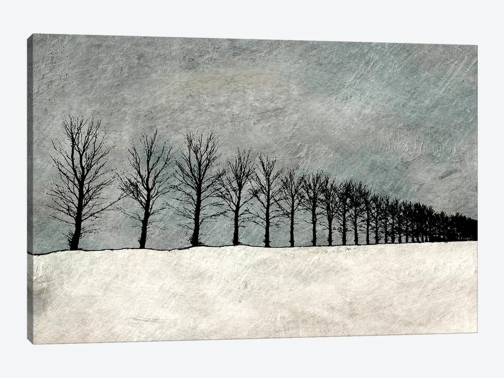 Winter Row by Ynon Mabat 1-piece Canvas Artwork