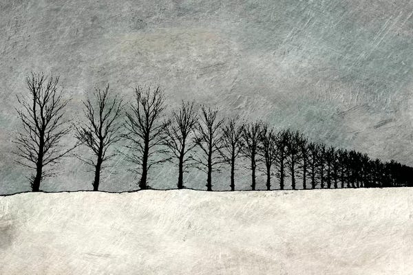 Ynon Mabat: Winter Row by Ynon Mabat