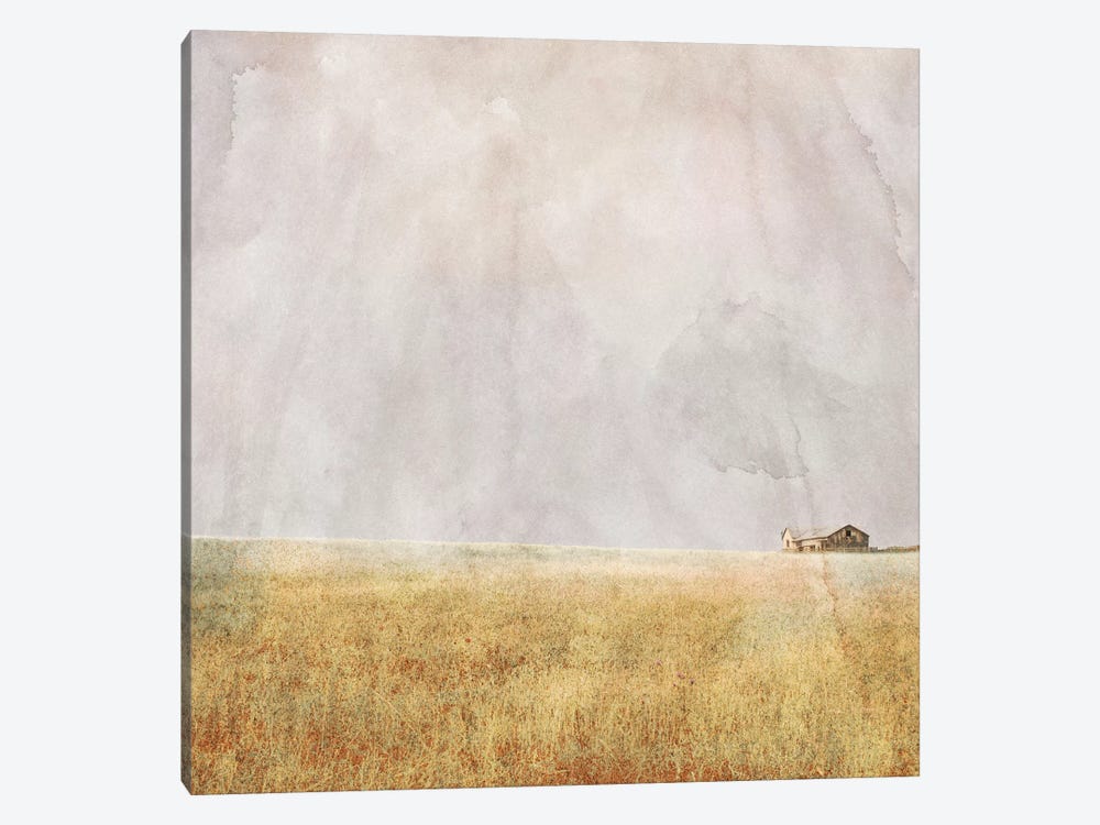Before The Storm I by Ynon Mabat 1-piece Canvas Wall Art