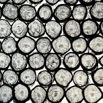 Gray Eggs by Yvonne Coleman Burney canvas print