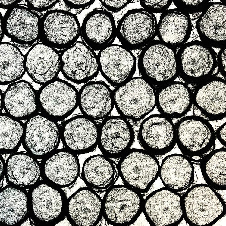 Gray Eggs by Yvonne Coleman Burney wall art
