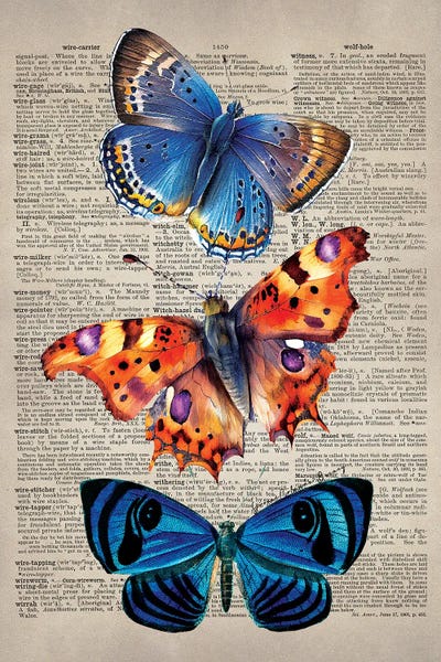 3 Wings Fly by Yvonne Coleman Burney acrylic art print