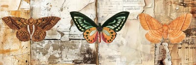 Flying High by Yvonne Coleman Burney acrylic art print