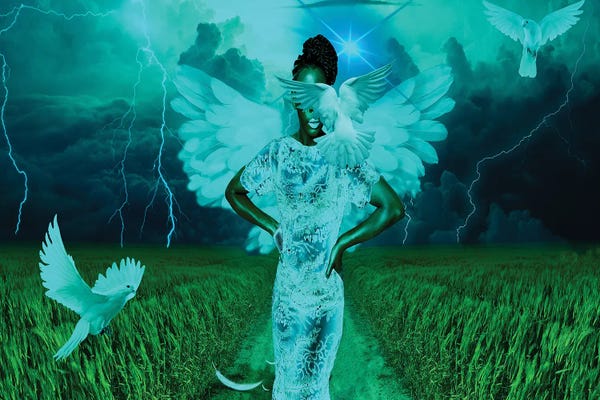 Doves & Pigeons: Angel Of The Storm by Yvonne Coleman Burney