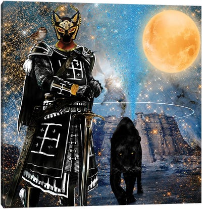 Egyptian Black Knight Canvas Art Print - Panther Art