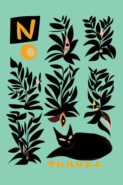 Black Cats: No Thanks by Year of the Cat