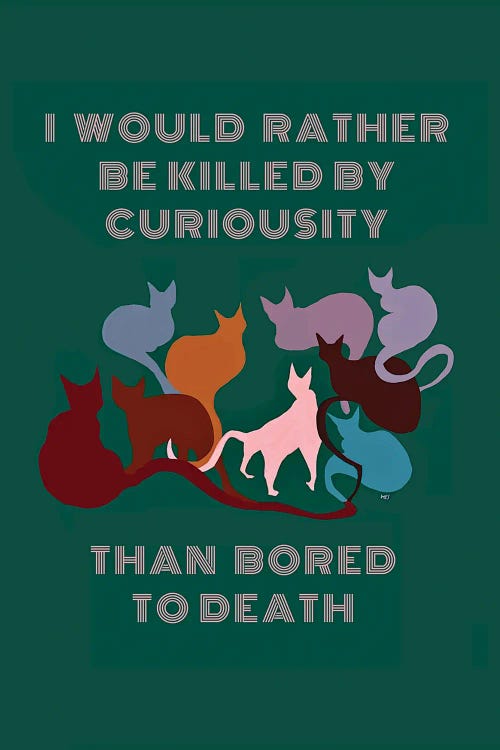 I Would Rather Be Killed By Curiosity Than Bored To Death