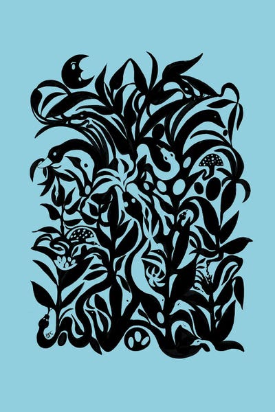 Swans And Snakes