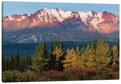 Canada, Yukon, Kluane National Park, Mountain Range At Last Light. Canvas Art Print