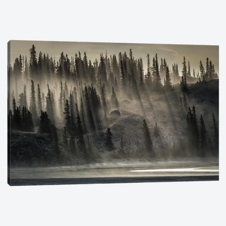 Canada, Yukon, Kluane National Park. Backlit Trees Near Kluane Lake. Canvas Print #YCH101} by Yuri Choufour Canvas Artwork