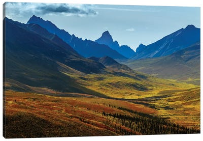 Canada, Yukon, Tombstone Territorial Park, Fall Color And Mountain Valley Views. Canvas Art Print - Valley Art