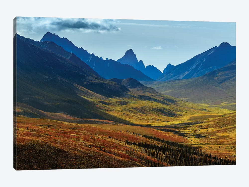 Canada, Yukon, Tombstone Territorial Park, Fall Color And Mountain Valley Views. by Yuri Choufour 1-piece Canvas Print
