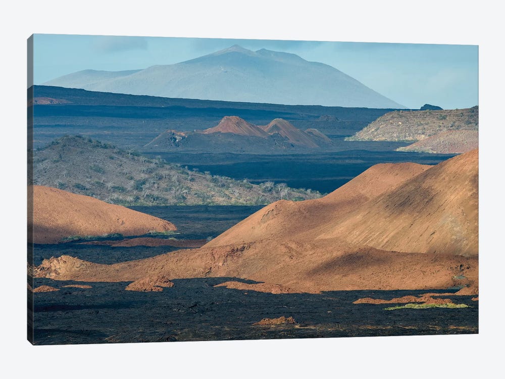 Ecuador, Galapagos Islands, Bartolome Island Volcanic Landscape. by Yuri Choufour 1-piece Canvas Art