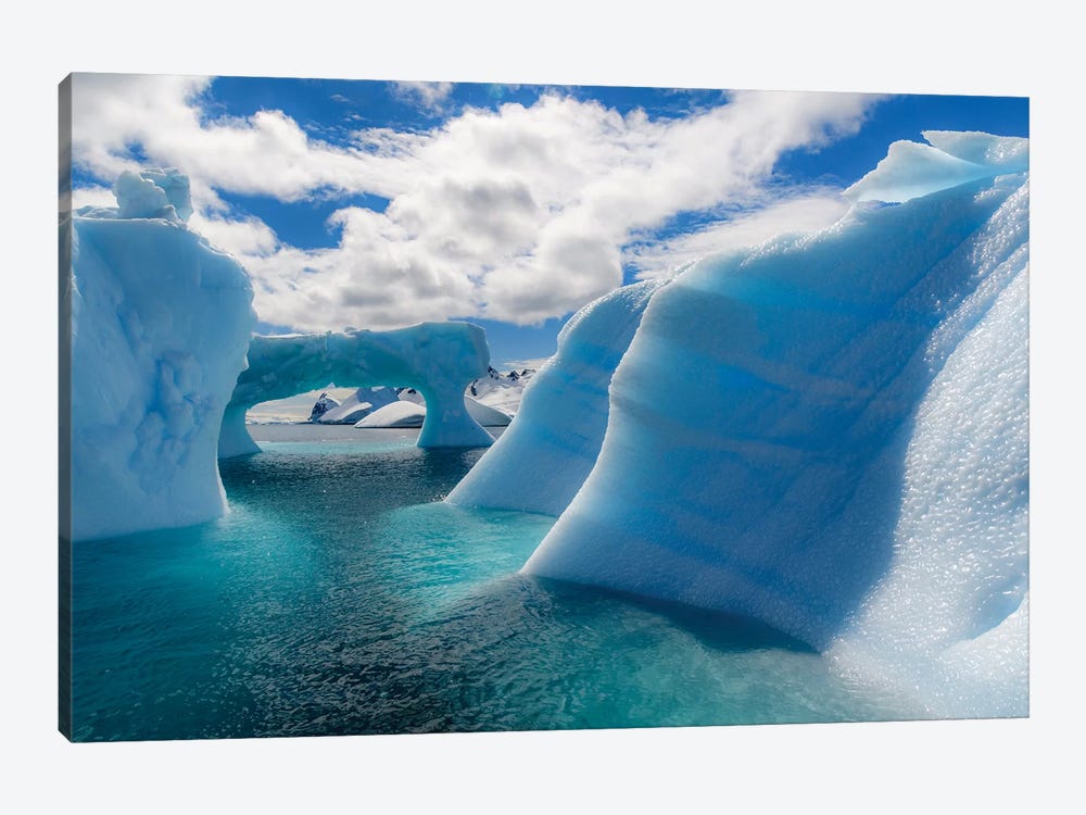 Antarctic Peninsula, Antarctica. Errera Channel, Beautiful Iceberg. by Yuri Choufour 1-piece Art Print