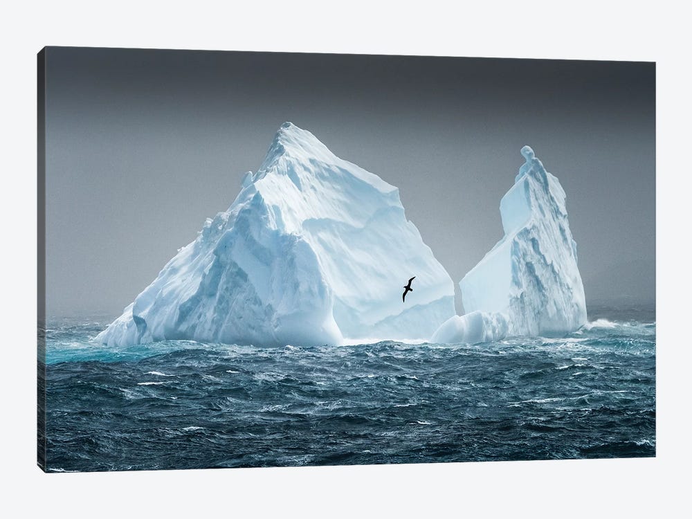 South Georgia Island. Albatross Flying Past Pinnacled Iceberg. by Yuri Choufour 1-piece Canvas Art Print