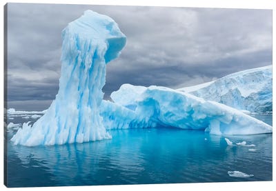 Antarctica, Antarctic Peninsula, Curtis Cove Icebergs. Canvas Art Print - Yuri Choufour