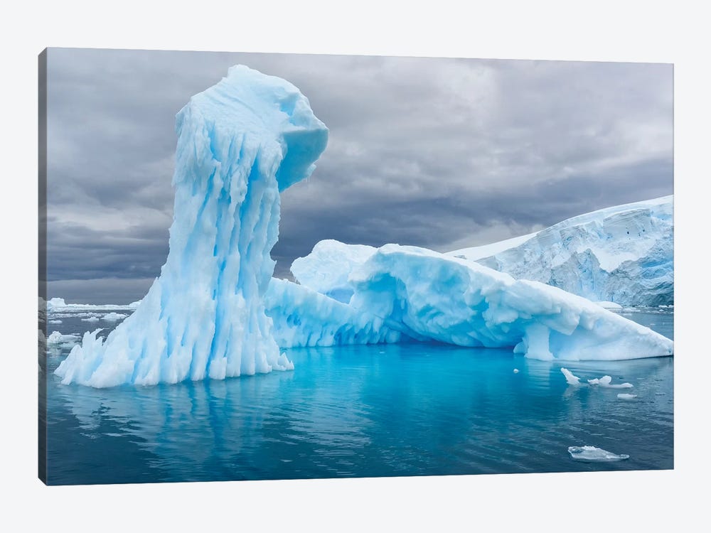 Antarctica, Antarctic Peninsula, Curtis Cove Icebergs. by Yuri Choufour 1-piece Canvas Print