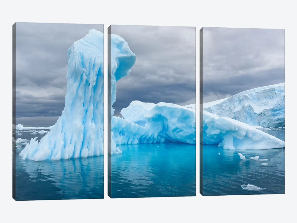 Antarctica, Antarctic Peninsula, Curtis Cove Icebergs. by Yuri Choufour 3-piece Art Print