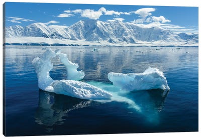 Antarctica, Antarctic Peninsula, Damoy Point. Glacial Ice, Mountains. Canvas Art Print - Glacier & Iceberg Art