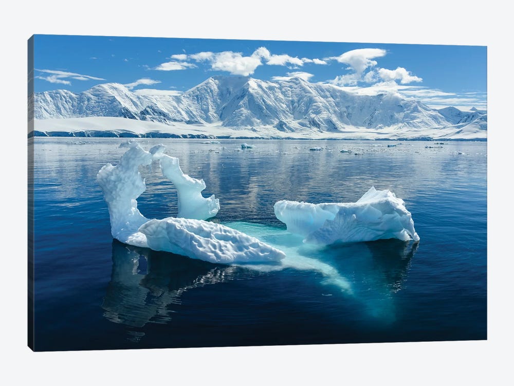 Antarctica, Antarctic Peninsula, Damoy Point. Glacial Ice, Mountains. by Yuri Choufour 1-piece Canvas Art Print