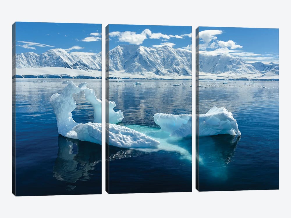 Antarctica, Antarctic Peninsula, Damoy Point. Glacial Ice, Mountains. by Yuri Choufour 3-piece Canvas Print