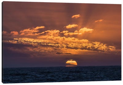 Antarctica, Drake Passage. Sunset And Seascape. Canvas Art Print - Antarctica Art