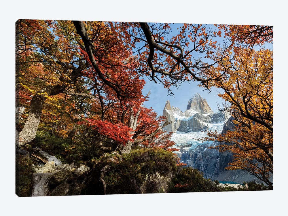 Argentina, Los Glaciares National Park. Mt. Fitz Roy Through Window Of Lenga Beech Trees In Fall. by Yuri Choufour 1-piece Canvas Art