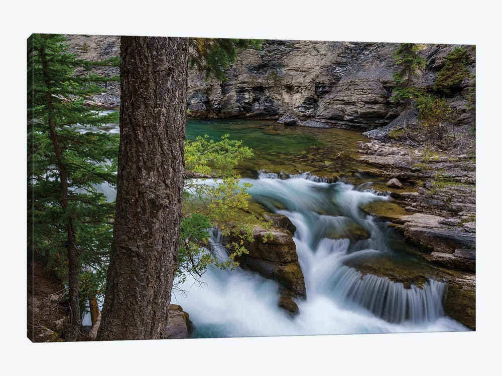 Canada, Alberta, Jasper National Park. Maligne Canyon Waterfall. by Yuri Choufour 1-piece Canvas Print