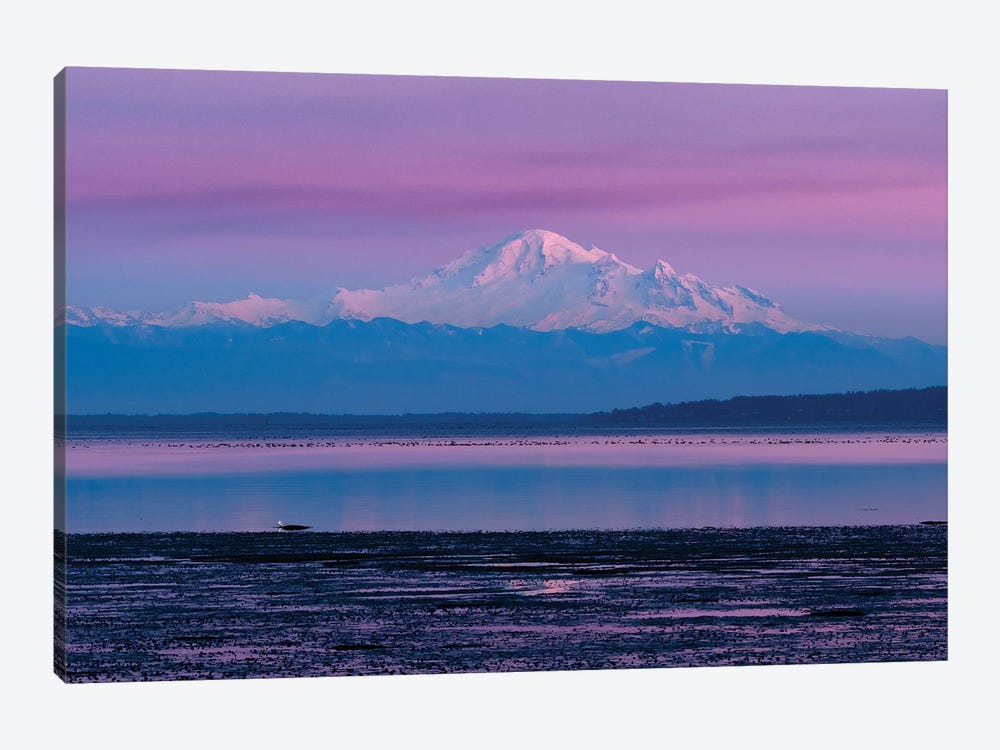 Canada, British Columbia, Boundary Bay. Mount Baker From The Shoreline At Sunset. by Yuri Choufour 1-piece Canvas Wall Art