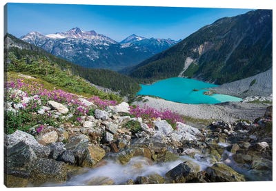 Canada, British Columbia, Joffre Lakes Provincial Park. Meltwater Stream Flows Past Wildflowers Into Upper Joffre Lake. Canvas Art Print - Yuri Choufour