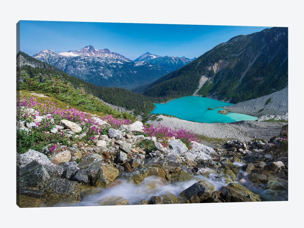 Canada, British Columbia, Joffre Lakes Provincial Park. Meltwater Stream Flows Past Wildflowers Into Upper Joffre Lake. by Yuri Choufour 1-piece Canvas Artwork