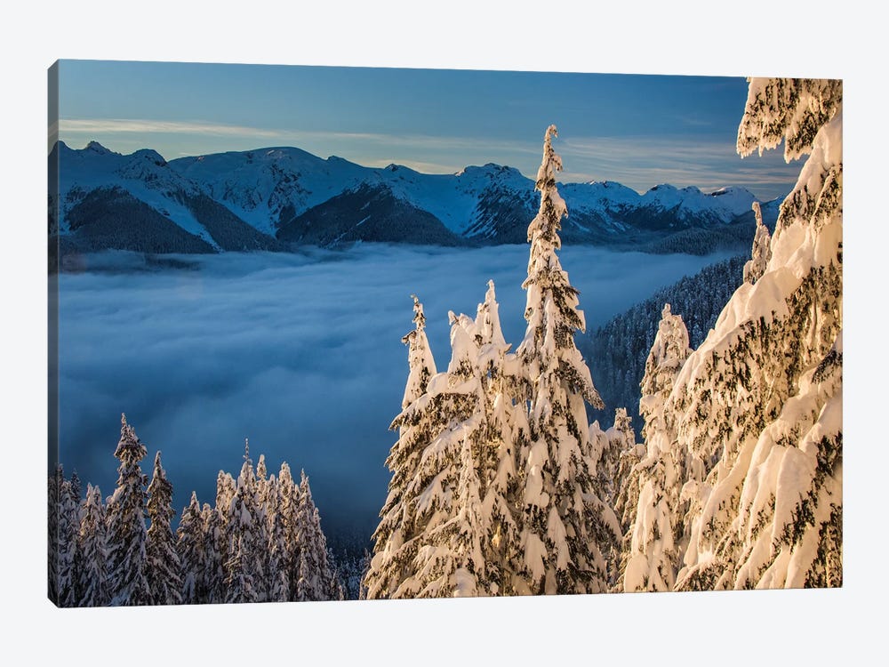 Canada, British Columbia. Callaghan Valley, Snow Covered Trees At Last Light. by Yuri Choufour 1-piece Canvas Wall Art