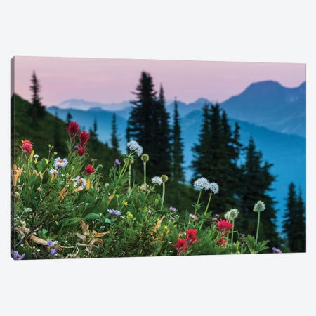 Canada, British Columbia. Idaho Peak, Alpine Wildflowers Blooming In The Subalpine. Canvas Print #YCH81} by Yuri Choufour Canvas Art